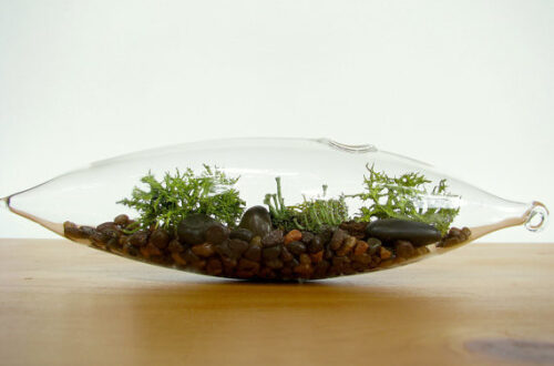 il terrario come elemento di design