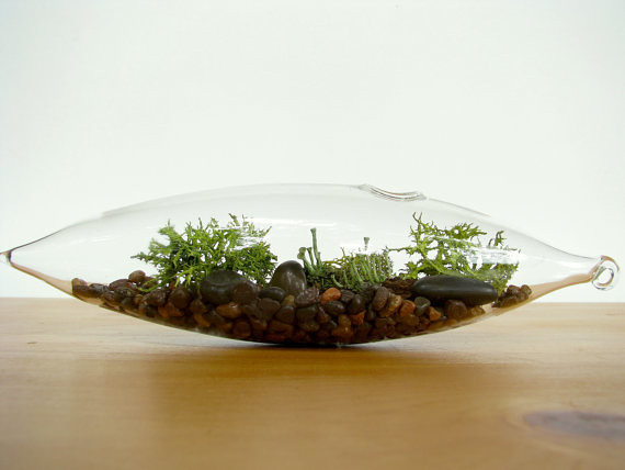 il terrario come elemento di design