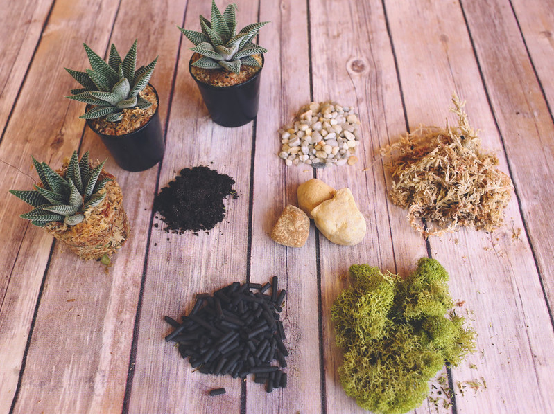 materiali per un terrario